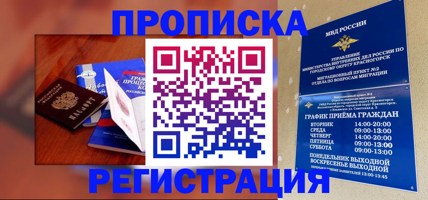временная регистрация для школы в Камчатской области